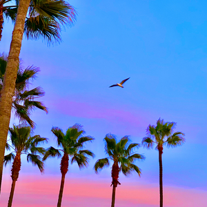 八戒宝藏库入口
