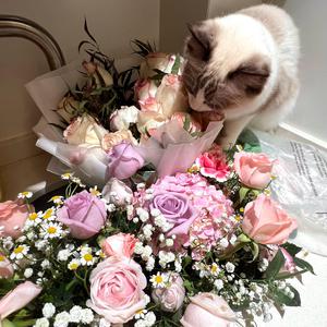 八戒宝藏库入口
